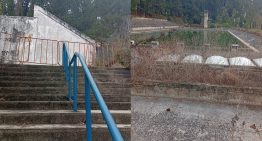 Denuncian abandono de la piscina olímpica de la USB, habitada por una baba desde hace años (FOTOS)