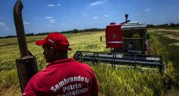 Ingenieros agrónomos advierten que sin garantías sobre la tierra no habrá grandes inversiones en Venezuela (VIDEO)