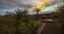 Tour de diseño por Marrakech: desde el barrio emergente hasta los consejos de Studio Ko (y la mejor guía viajera)