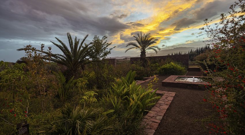 Tour de diseño por Marrakech: desde el barrio emergente hasta los consejos de Studio Ko (y la mejor guía viajera)