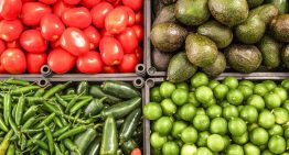 Financiamiento en el sector agroalimentario será clave para aprovechar apertura con la UE: Santander