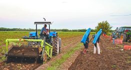 CONPAPA celebra 35 años y llama a reforzar la colaboración para mejorar la sanidad del sector papero en México