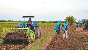 CONPAPA celebra 35 años y llama a reforzar la colaboración para mejorar la sanidad del sector papero en México