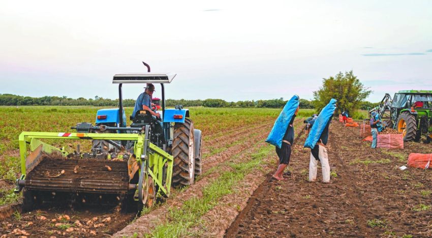 CONPAPA celebra 35 años y llama a reforzar la colaboración para mejorar la sanidad del sector papero en México