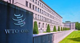 EU y otros países proponen acuerdo sobre comercio electrónico mientras se agrava estancamiento en la OMC