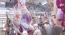 Brasil expresa «sorpresa» por el veto europeo a sus productos animales y busca revertir la medida