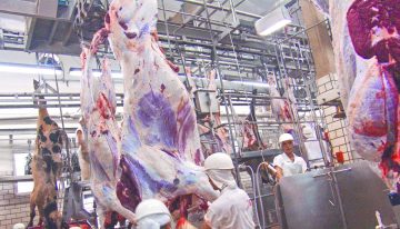 Brasil expresa «sorpresa» por el veto europeo a sus productos animales y busca revertir la medida