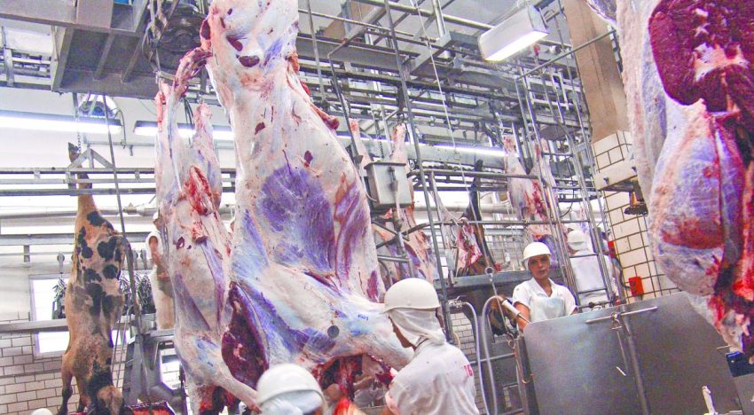 Brasil expresa «sorpresa» por el veto europeo a sus productos animales y busca revertir la medida