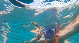 Vacaciones de verano 2026: ¿Qué día exacto termina el ciclo escolar según la SEP?