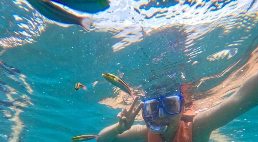 Vacaciones de verano 2026: ¿Qué día exacto termina el ciclo escolar según la SEP?