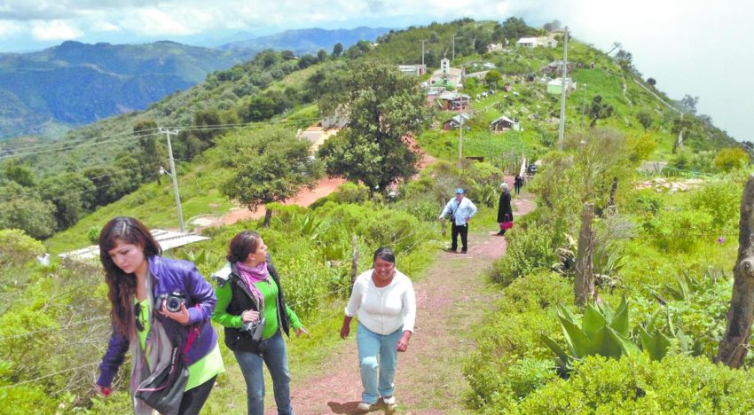 ¿Es posible una nueva banca rural en México? Las sofincos buscan intentarlo con una nueva ley
