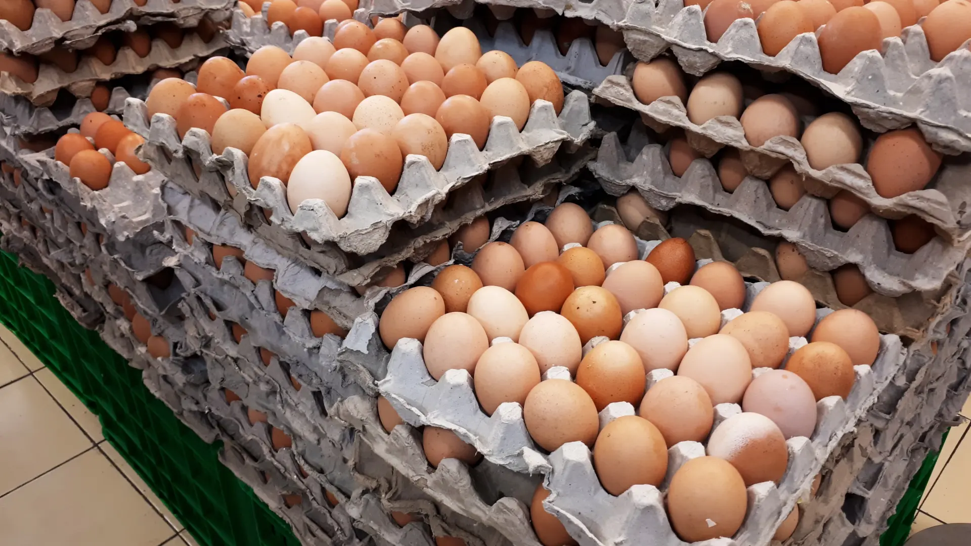 Comer huevos al menos cinco días a la semana se asocia a menor riesgo de padecer alzhéimer, según un estudio