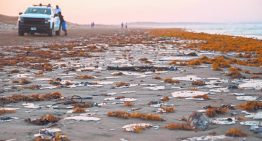 Oceana denuncia que apoyos por derrame no llegan a pescadores