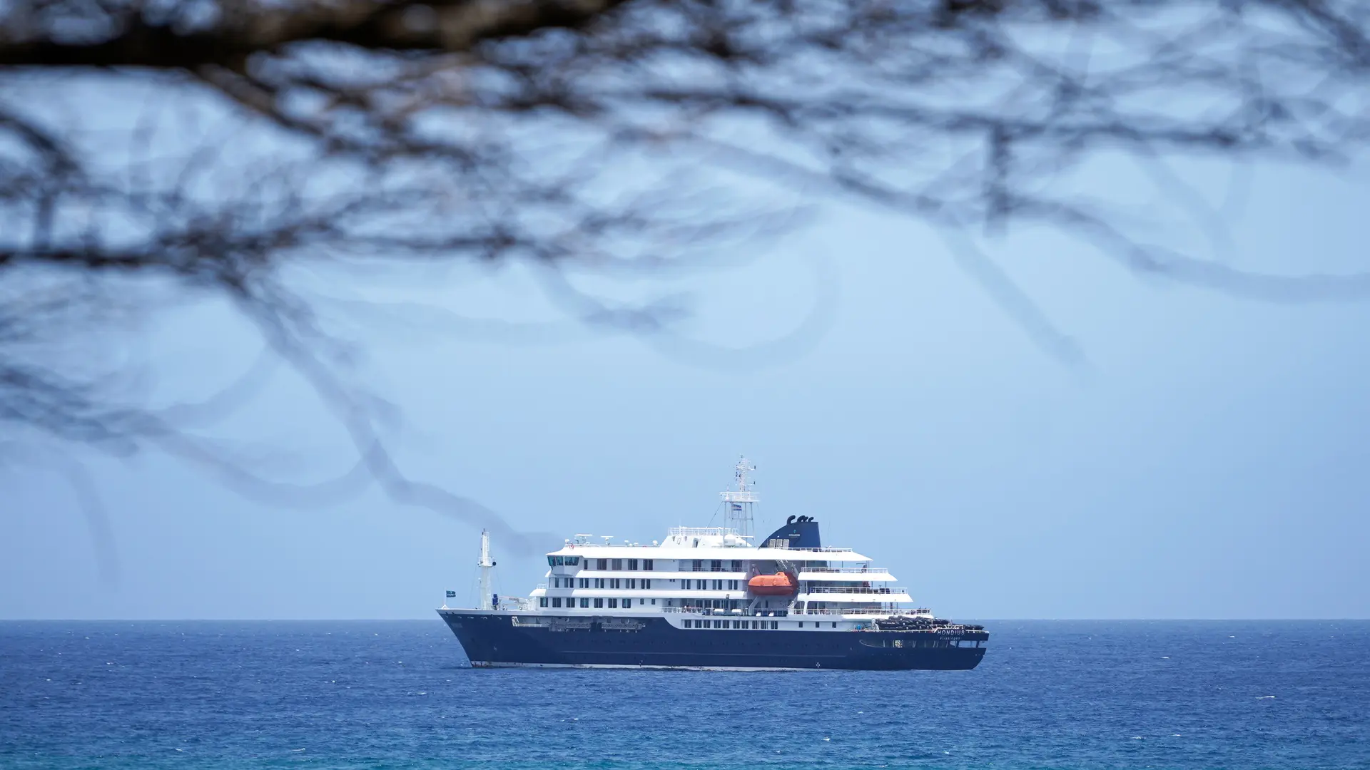 El hantavirus del crucero podría haberse expandido: la OMS busca a los pasajeros de un vuelo en el que viajó una de las fallecidas
