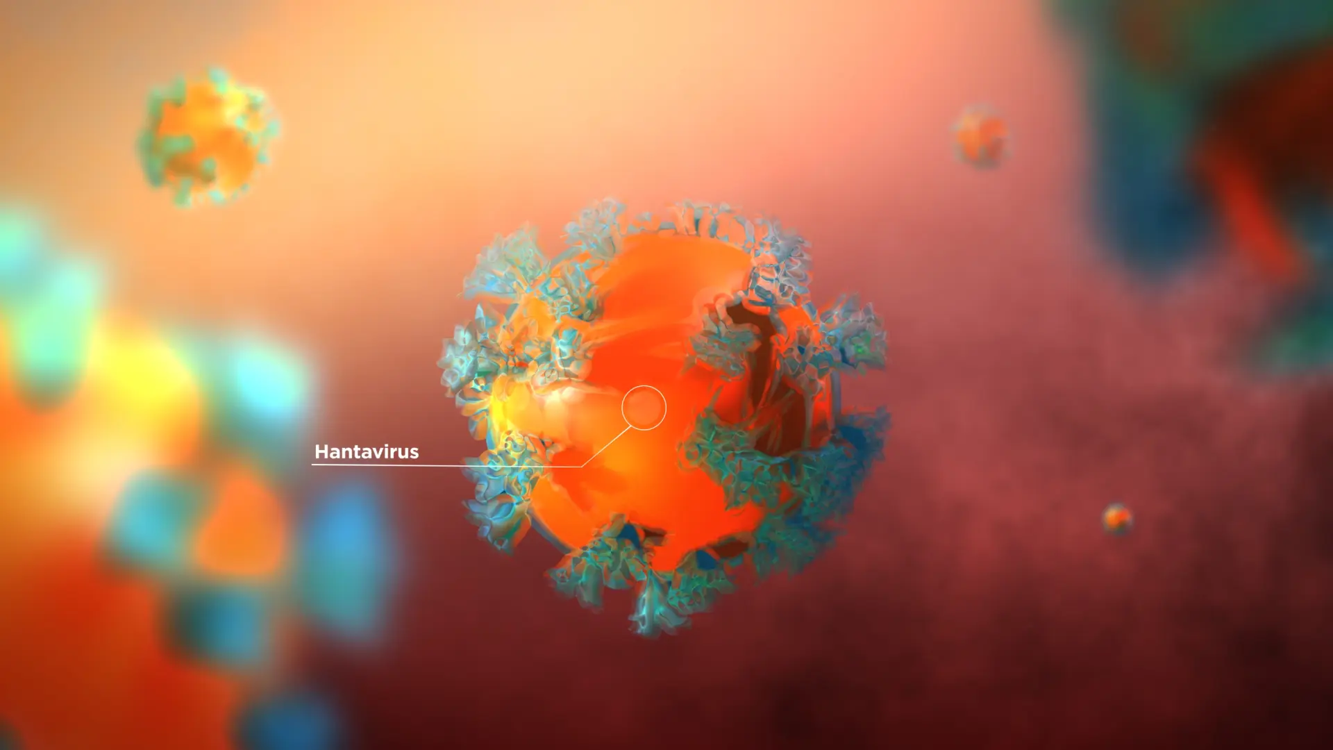 Dudas, certezas y síntomas del hantavirus: ¿Qué diferencias tiene con el coronavirus?
