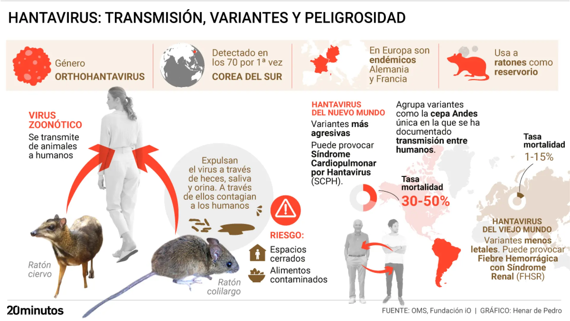 Las claves del Hantavirus: formas de contagio, tasa de mortalidad, países endémicos y diferencias entre cepas del Viejo y Nuevo Mundo