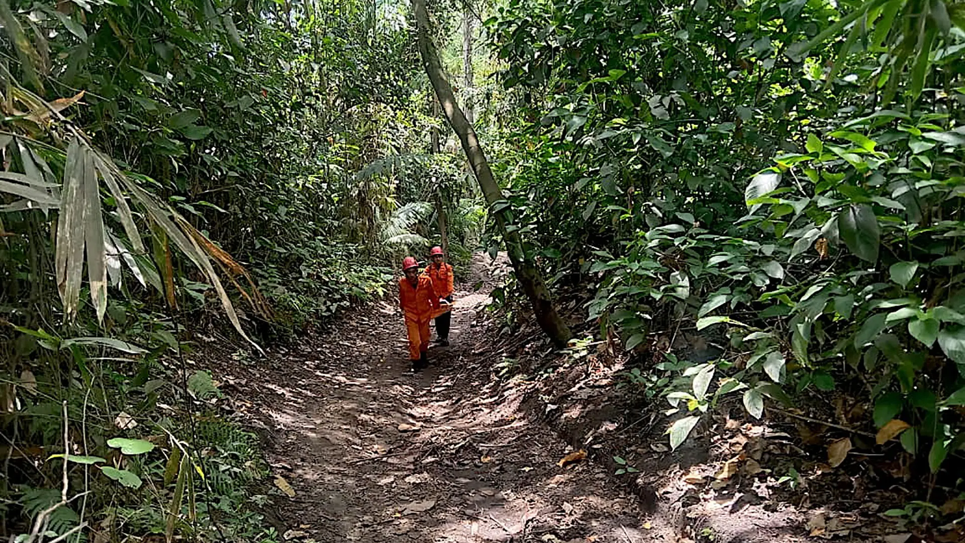 Al menos tres excursionistas muertos y más de una decena de desaparecidos tras la erupción del volcán Dukono en Indonesia