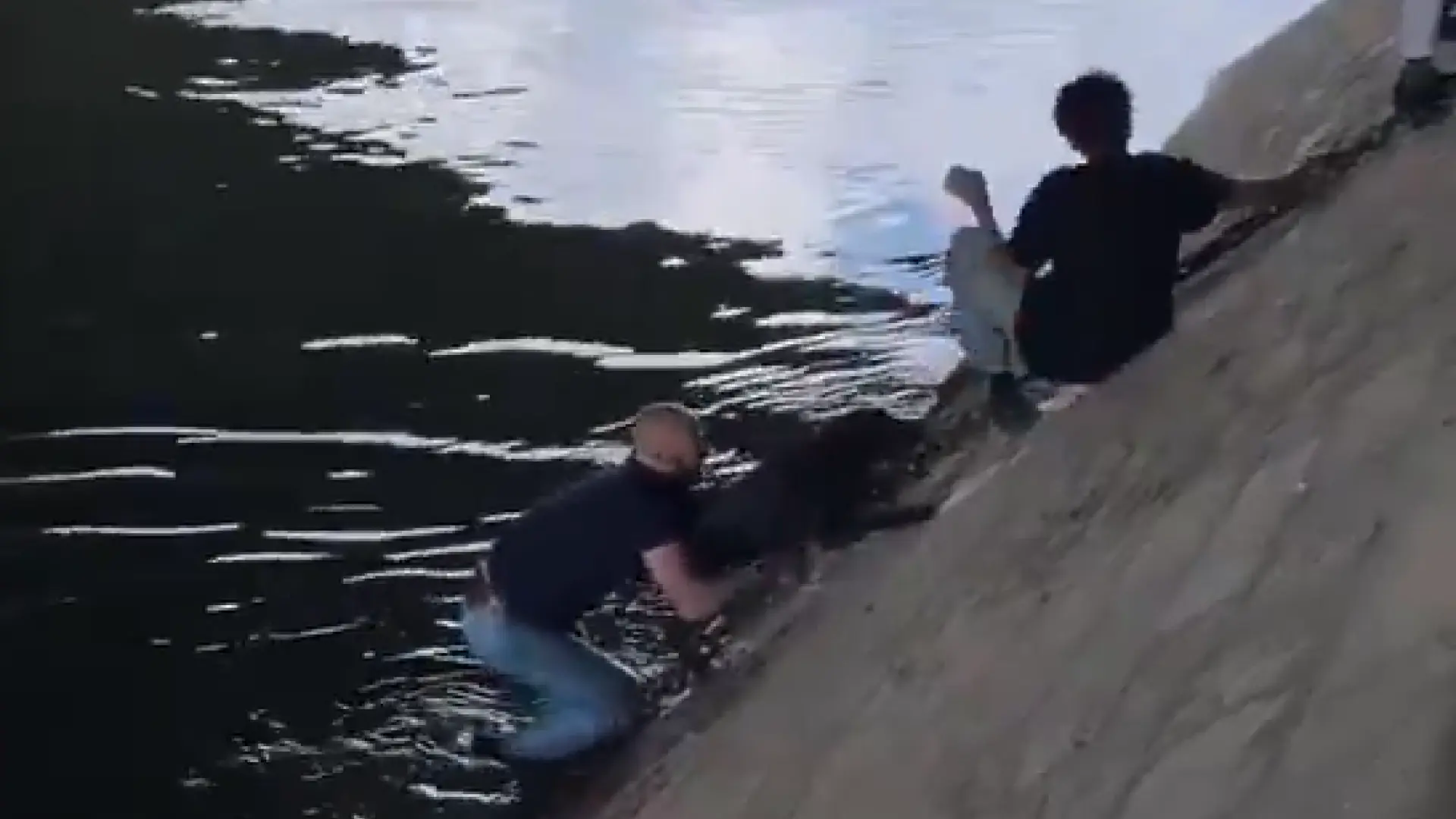 El angustioso rescate de un perro que luchaba por sobrevivir tras caer al Sena: más de diez personas se unen para salvarlo