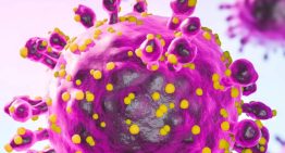 OMS descarta riesgo alto por hantavirus