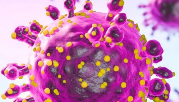 OMS descarta riesgo alto por hantavirus