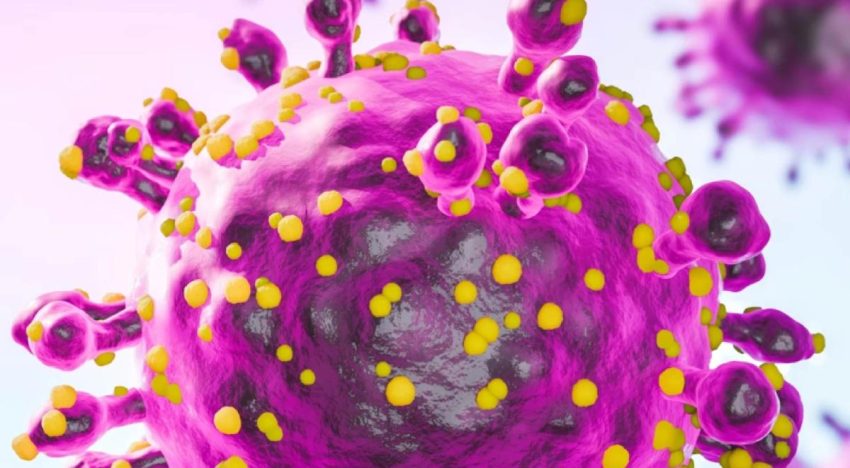 OMS descarta riesgo alto por hantavirus