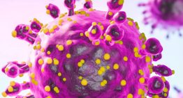 Secretaría de Salud emite aviso epidemiológico por hantavirus tras brote en crucero
