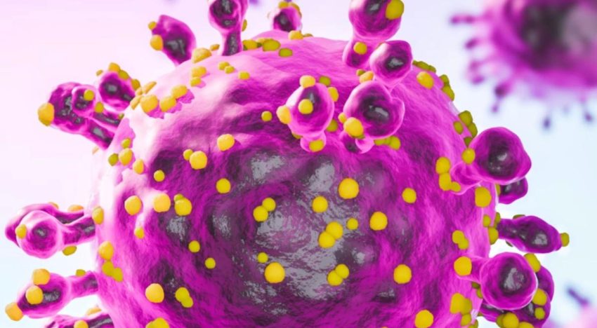 Secretaría de Salud emite aviso epidemiológico por hantavirus tras brote en crucero