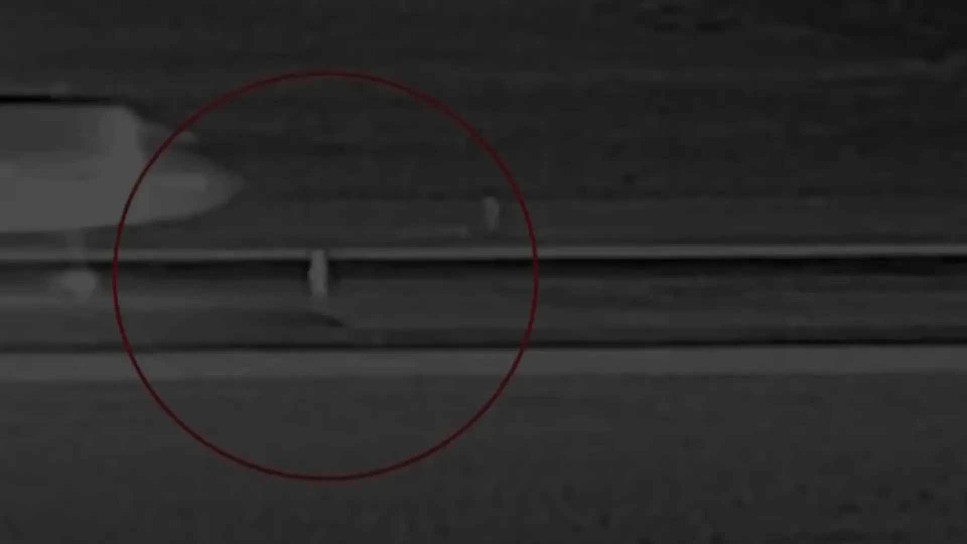 Un hombre que murió atropellado por un avión en EEUU corrió intencionalmente contra la nave