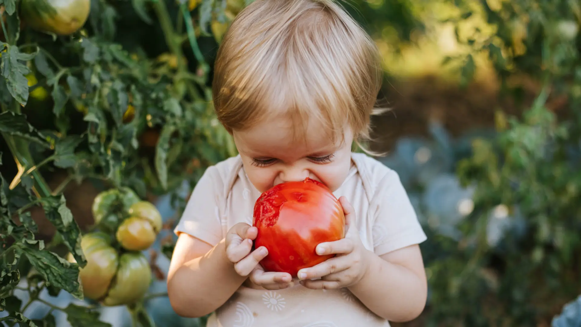 El truco para que los niños coman verduras podría empezar en el útero