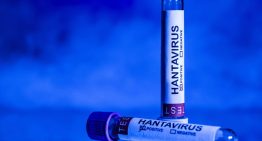 La OMS confirma que ocho casos en brote de hantavirus son de la cepa de los Andes