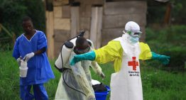 EU permitirá a la selección del Congo asistir al Mundial pese a la epidemia de ébola