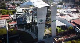 Consejo Regulador fortalece protección del tequila a 32 años de su creación