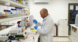 Vacuna chilena contra el Hantavirus