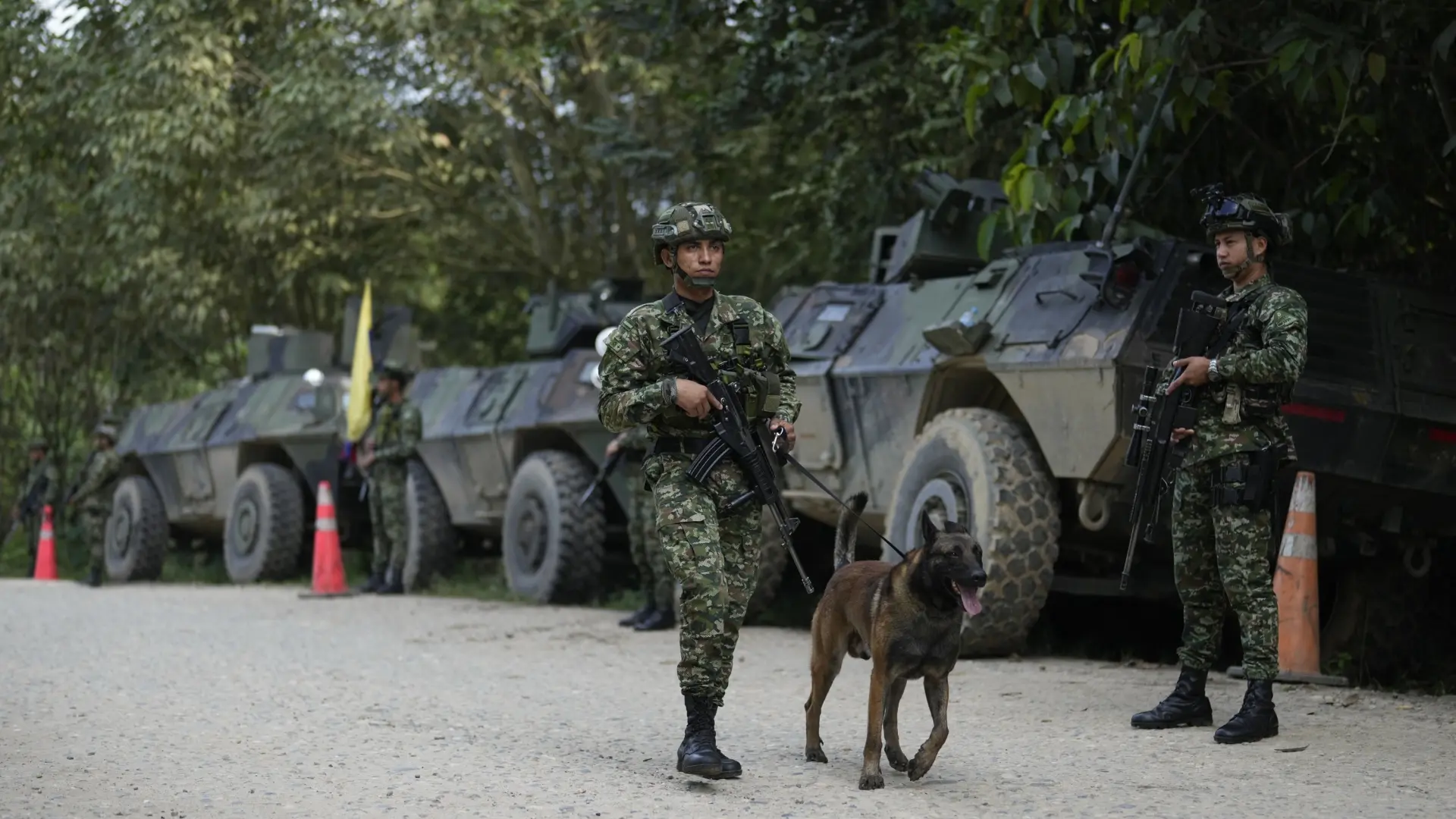 Masacre entre las disidencias de las FARC: medio centenar de muertos en la selva colombiana