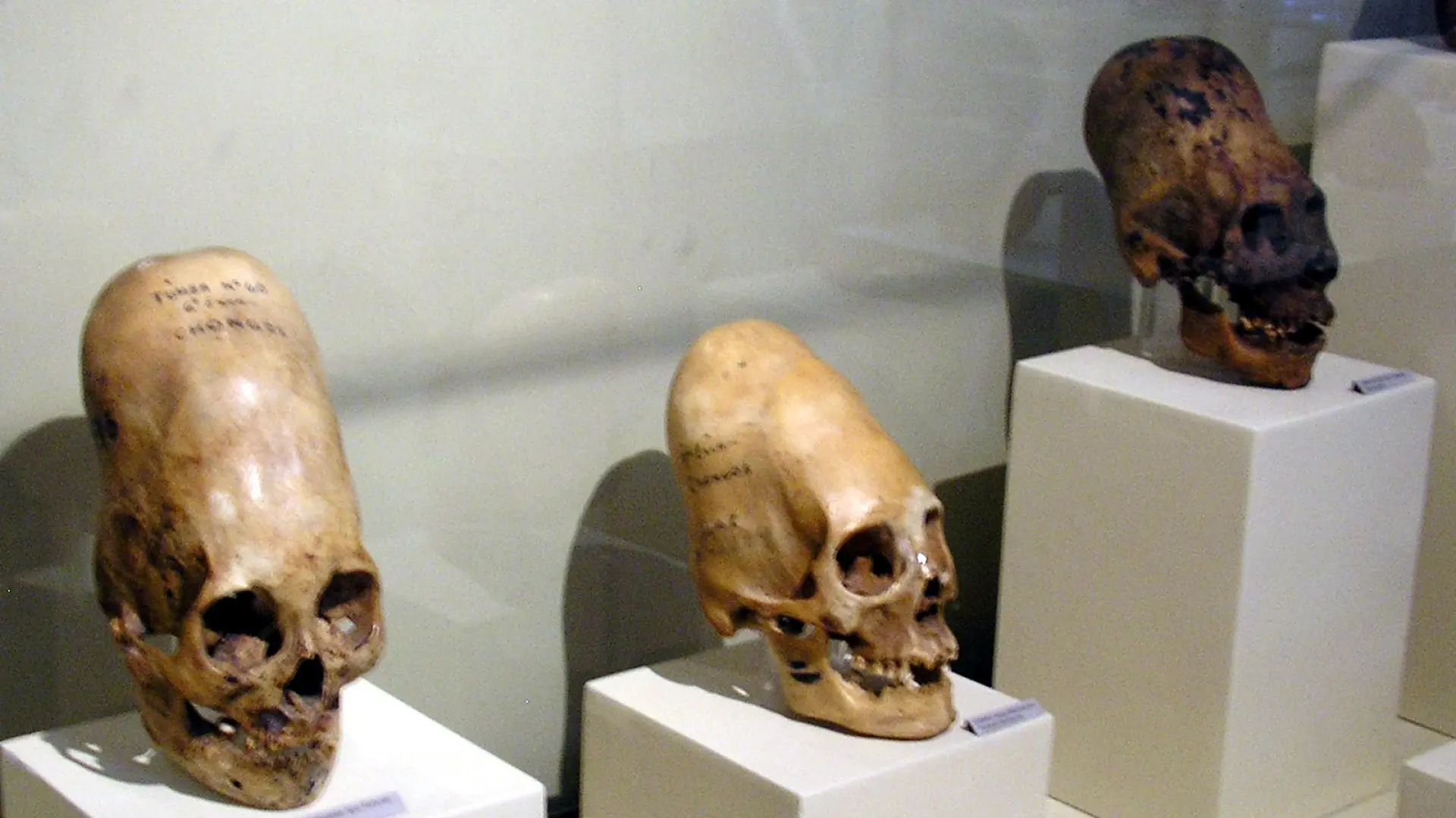 ¿Momias de origen extraterrestre en Perú? Las limitaciones de los últimos análisis de ADN alimentan la teoría