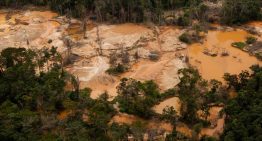SOS Orinoco alertó sobre impacto de la minería ilegal en el sistema eléctrico venezolano