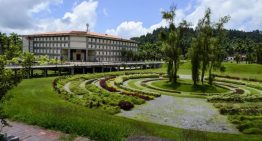 Capturan a caimán que vivía en la piscina olímpica de la Universidad Simón Bolívar (FOTO)