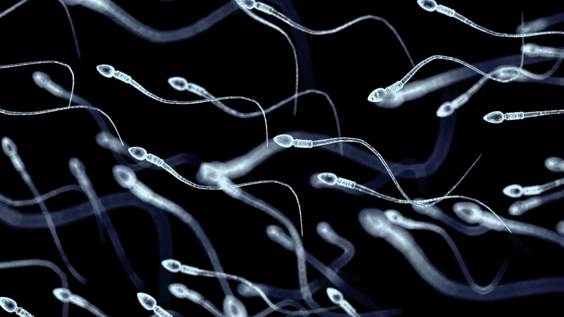 Revolución en fertilidad: un hombre de 27 años produce esperma con tejido congelado de cuando tenía 10 años