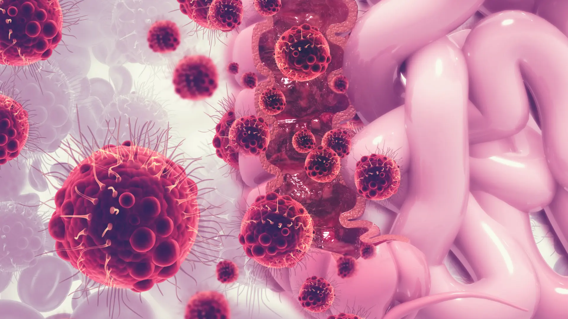 Oncólogos americanos actualizan las directrices y añaden una nueva prueba para la detección del cáncer colorrectal