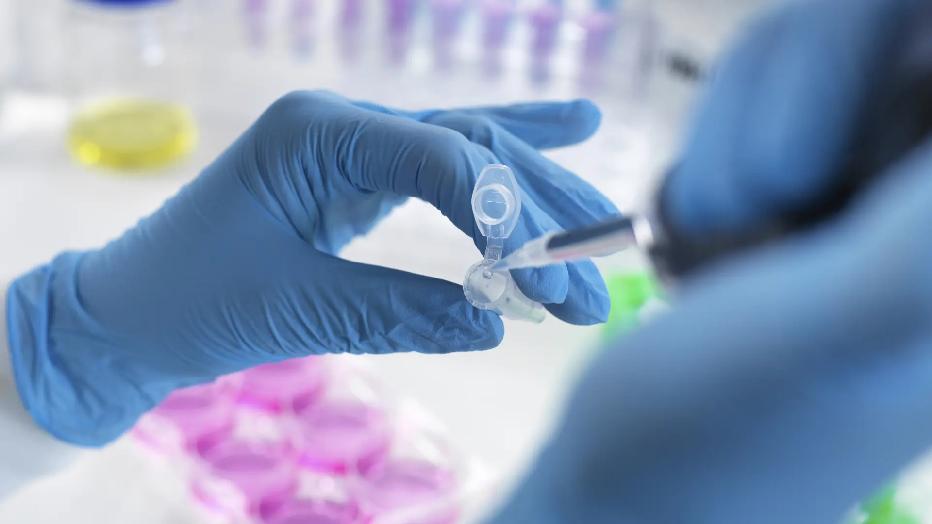 Investigadores británicos trabajan ya en una vacuna contra el hantavirus «muy prometedora», pero podría tardar años
