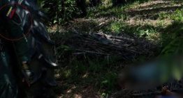 El Tiempo: Lo que se sabe de la operación que habría ejecutado la GNB contra el ELN en Venezuela