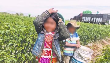 Día Mundial contra el Trabajo Infantil 2026: el desafío que aún afecta a 138 millones de niños en el mundo