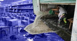Mipymes y seguros contra lluvias: la fórmula para enfrentar inundaciones y pérdidas millonarias