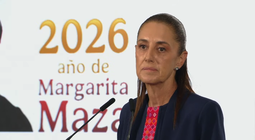 Shienbaum no cree que Trump esté detrás de la ofensiva contra México en EU
