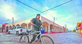El gobierno destinó 0.16 centavos por cada 100 pesos que gastó a protección ambiental