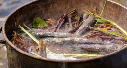 De la selva amazónica al laboratorio: el potencial de la ayahuasca contra el párkinson