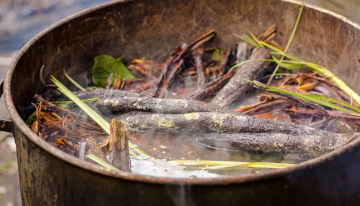 De la selva amazónica al laboratorio: el potencial de la ayahuasca contra el párkinson