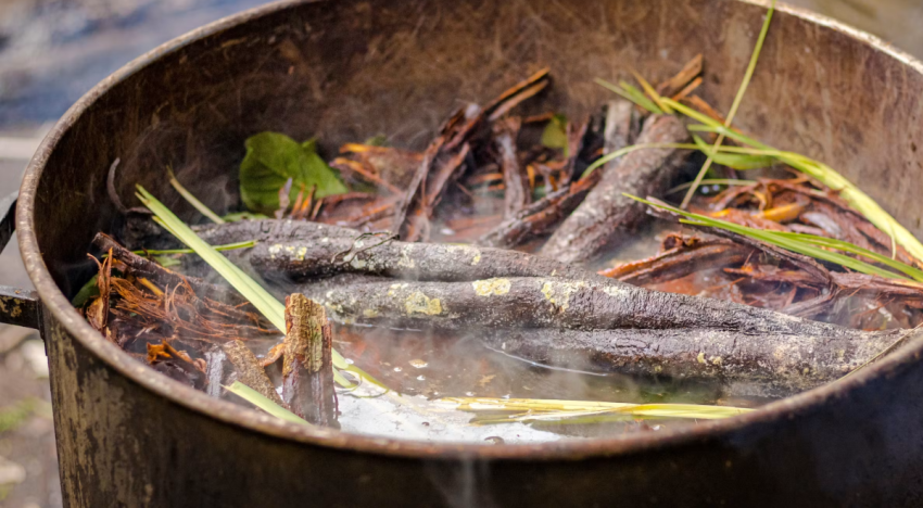 De la selva amazónica al laboratorio: el potencial de la ayahuasca contra el párkinson