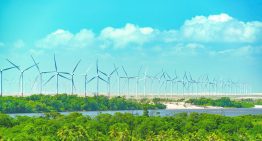 Brasil alista subasta verde por 10,000 millones de dólares