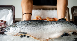 ¿Qué pescados son más sanos para comer?